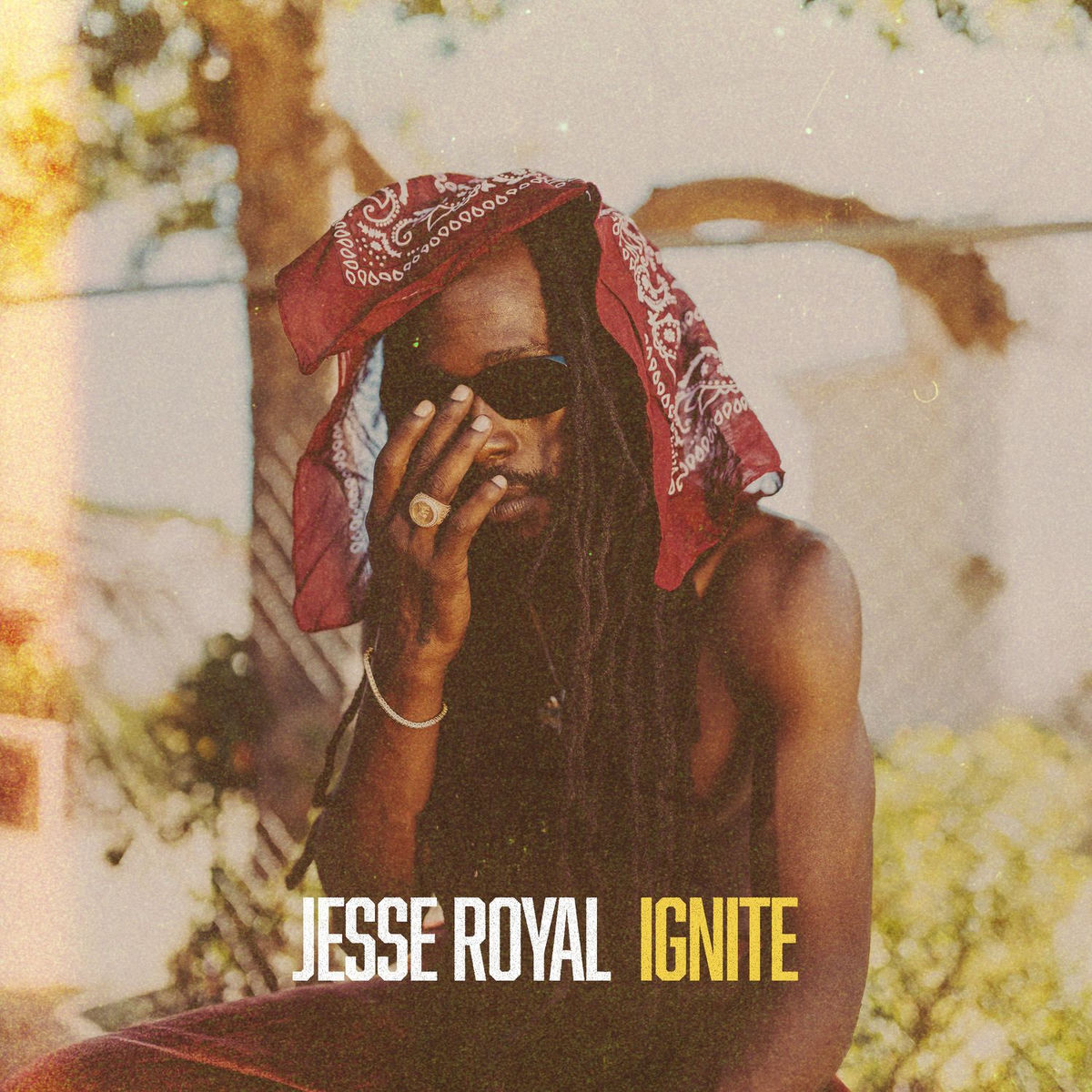 Album cover of Ignite