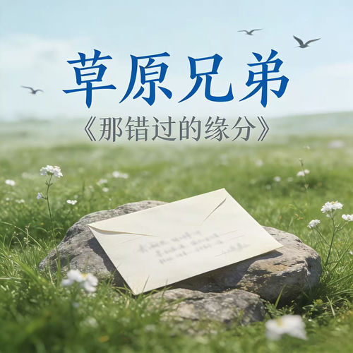 那错过的缘分 (最后学会了打伞语录版)
