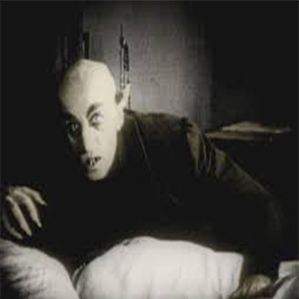 Picture of Nosferatu
