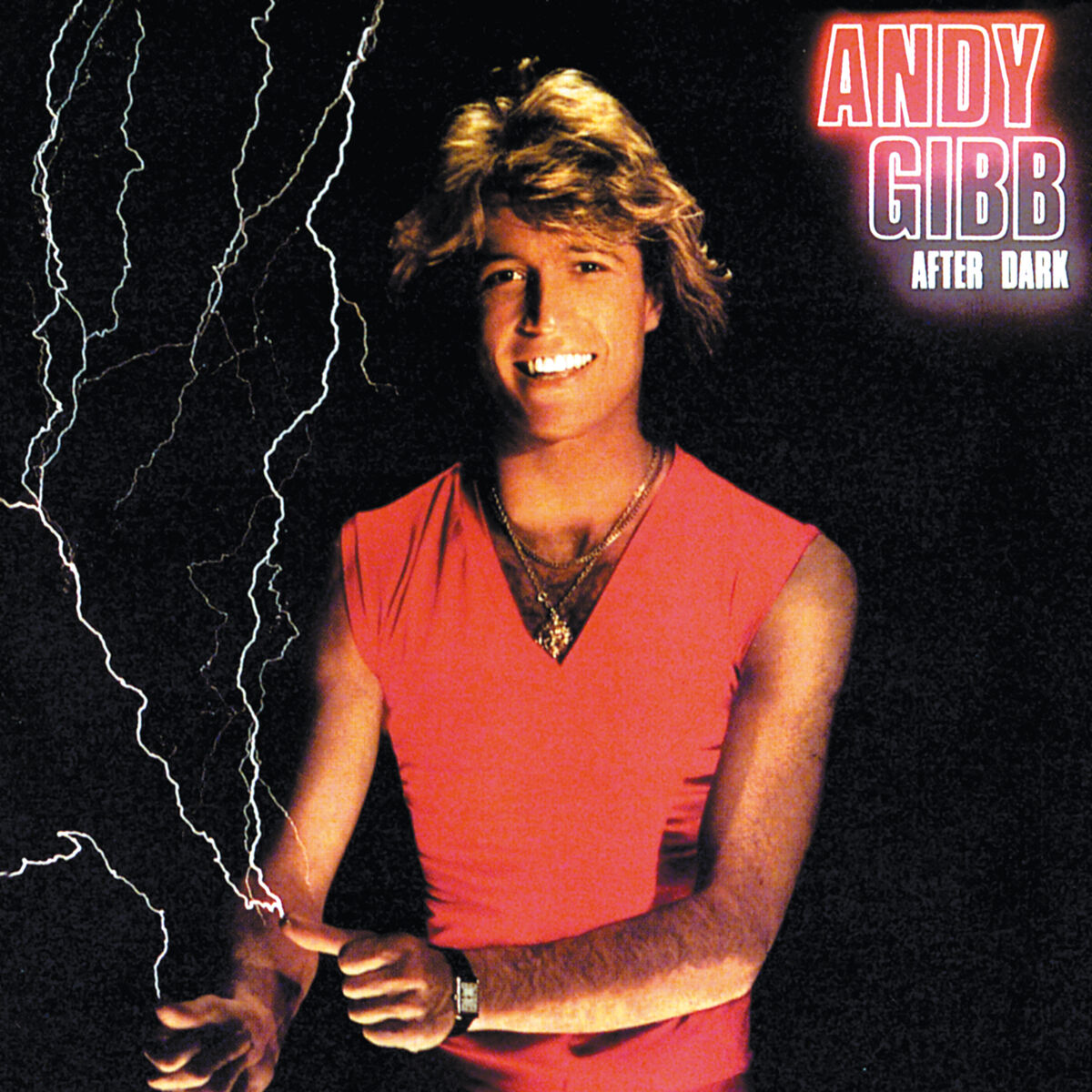 Album cover of After Dark