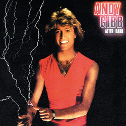 Cover of After Dark