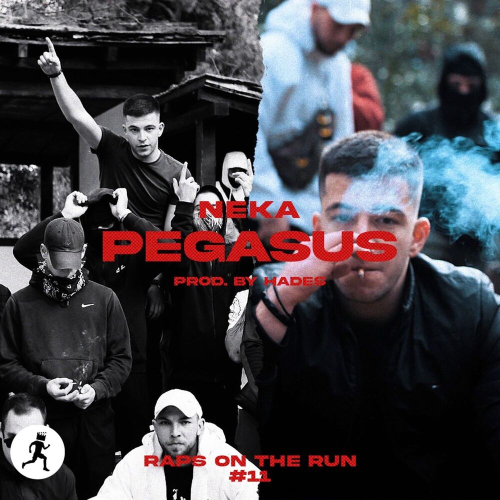 Picture of Pegasus