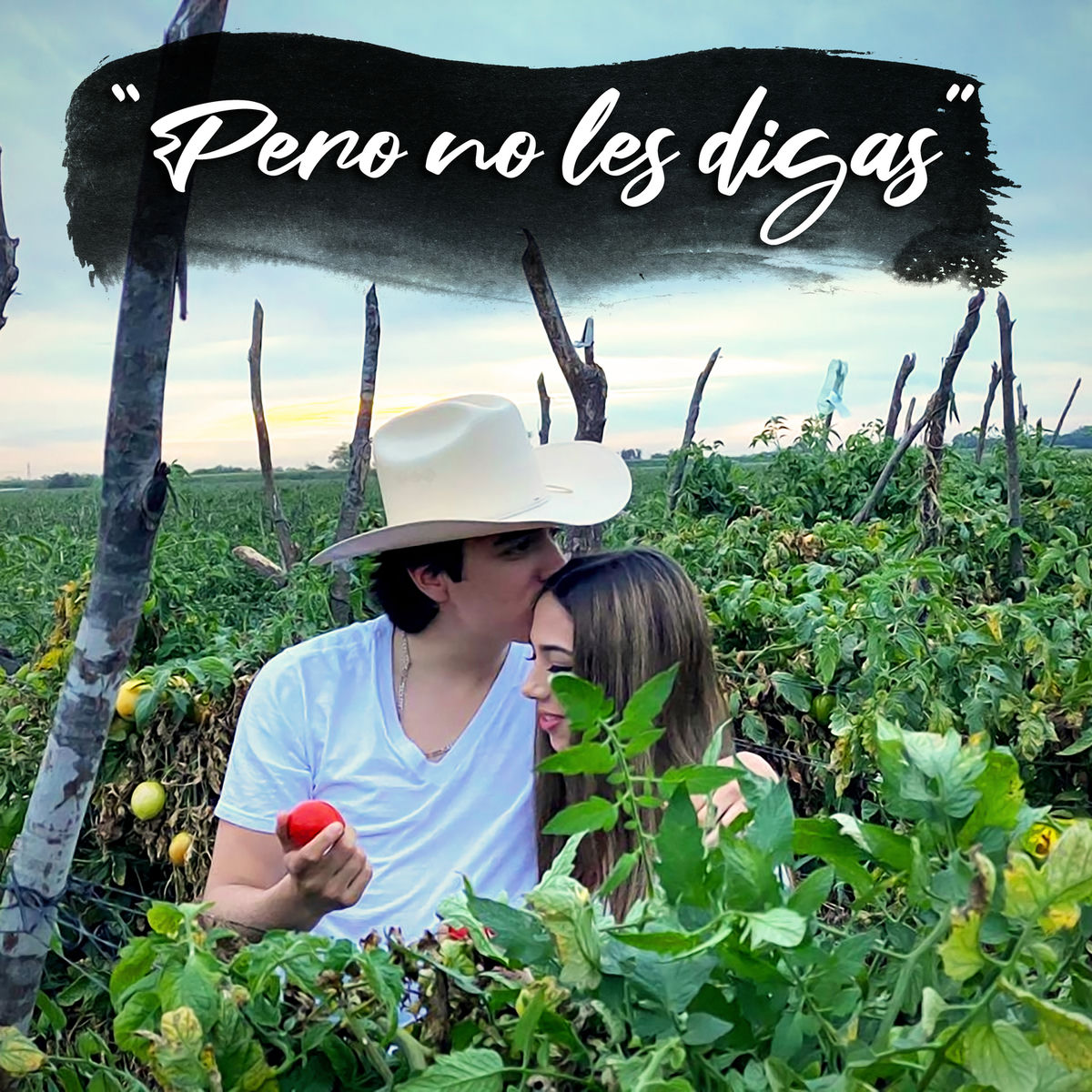 Album cover of Pero No Les Digas