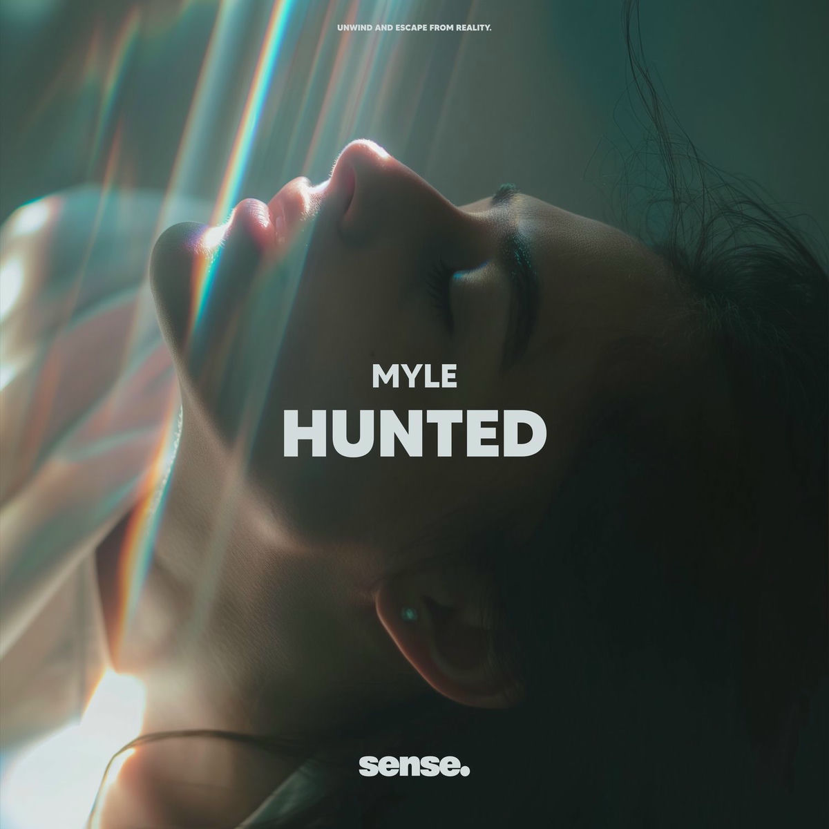 Album cover of Hunted