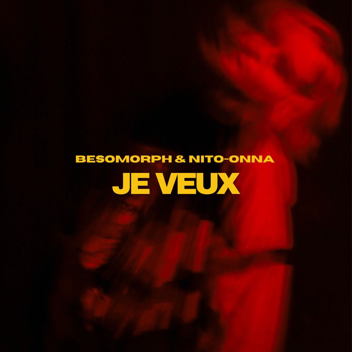 Album cover of Je Veux