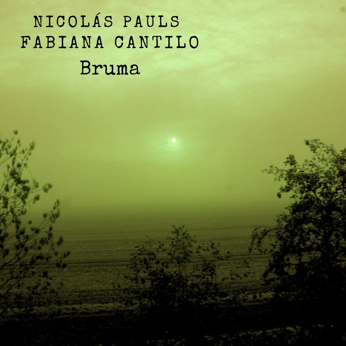 Album cover of Bruma