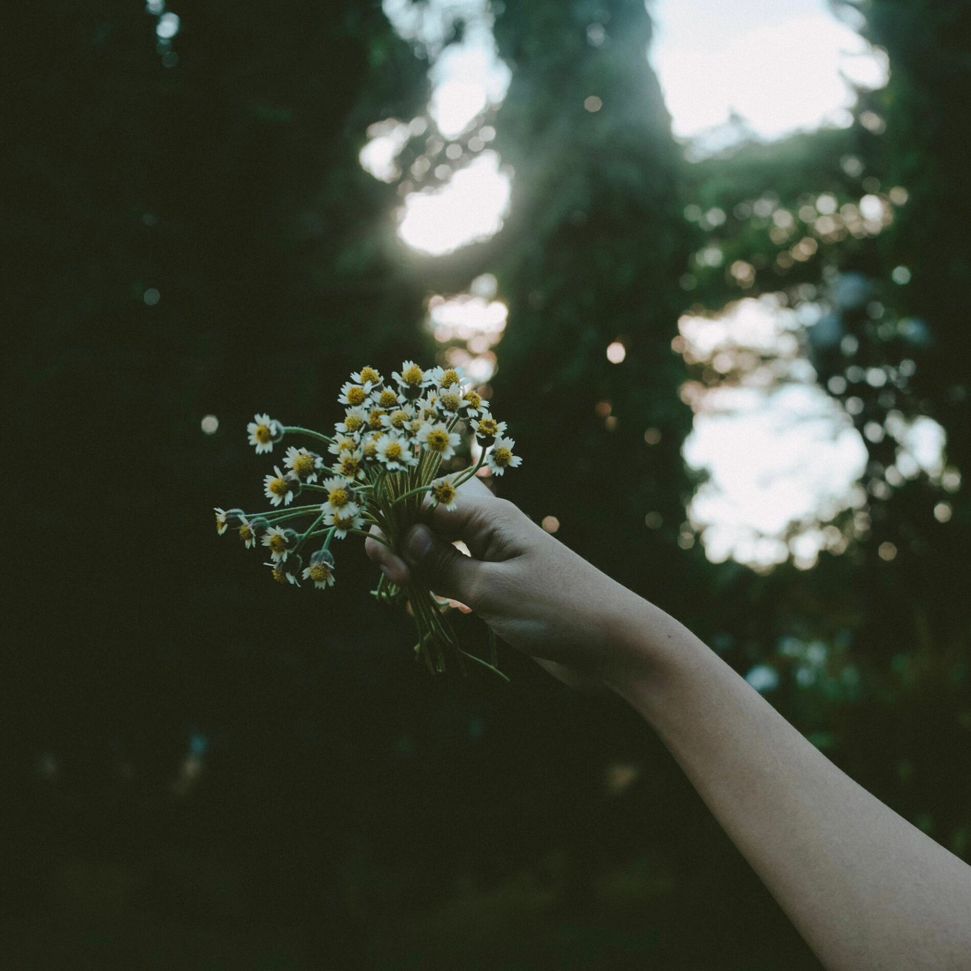 Album cover of lovely