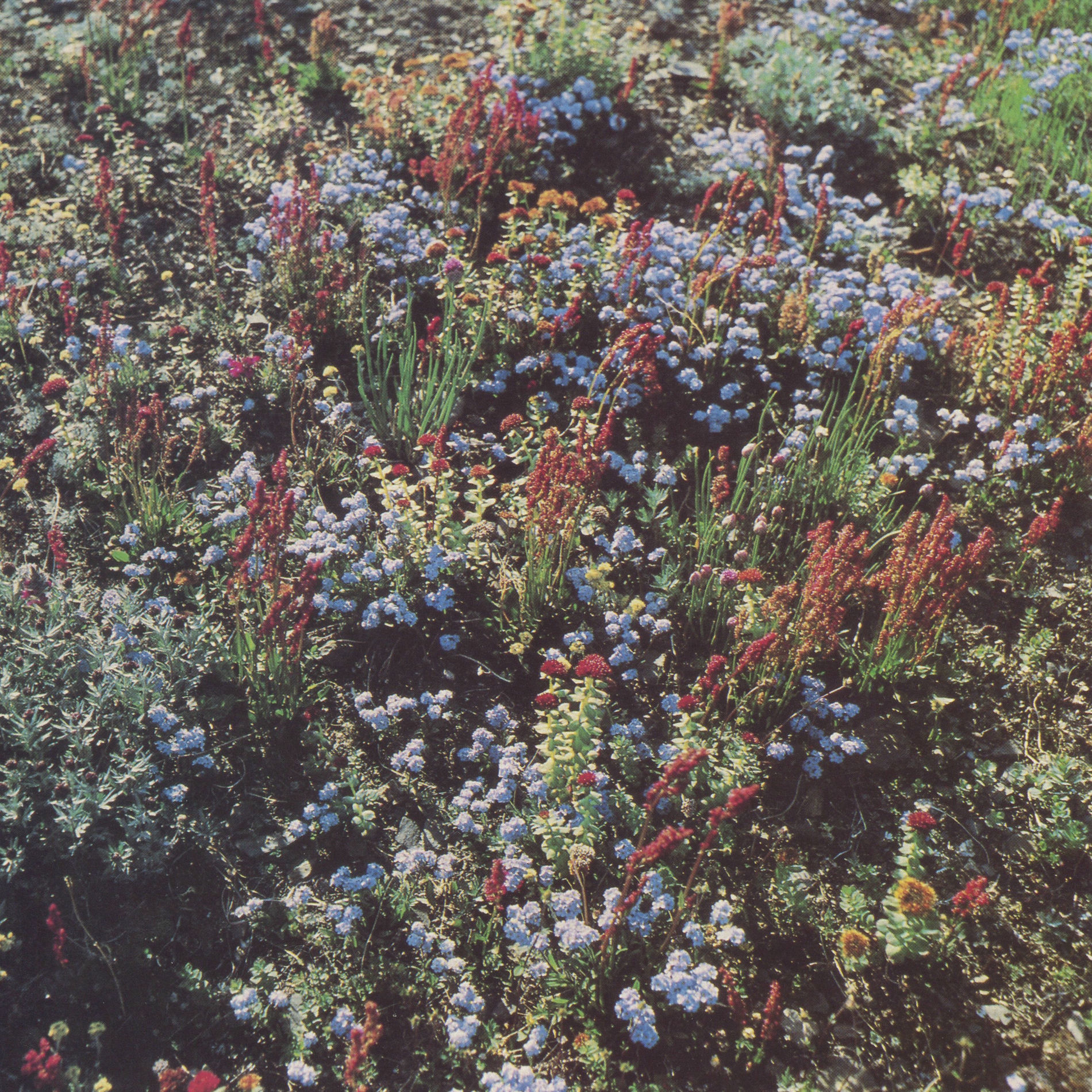 Album picture of Before The Road