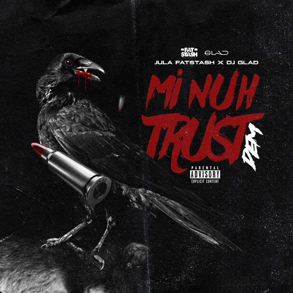 Picture of Mi Nuh Trust Dem