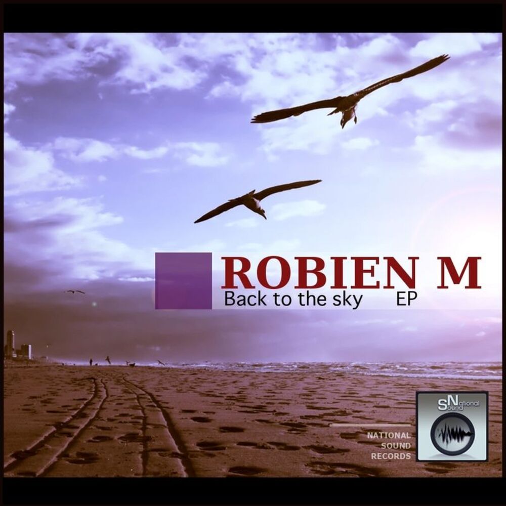 Picture of Back to the Sky