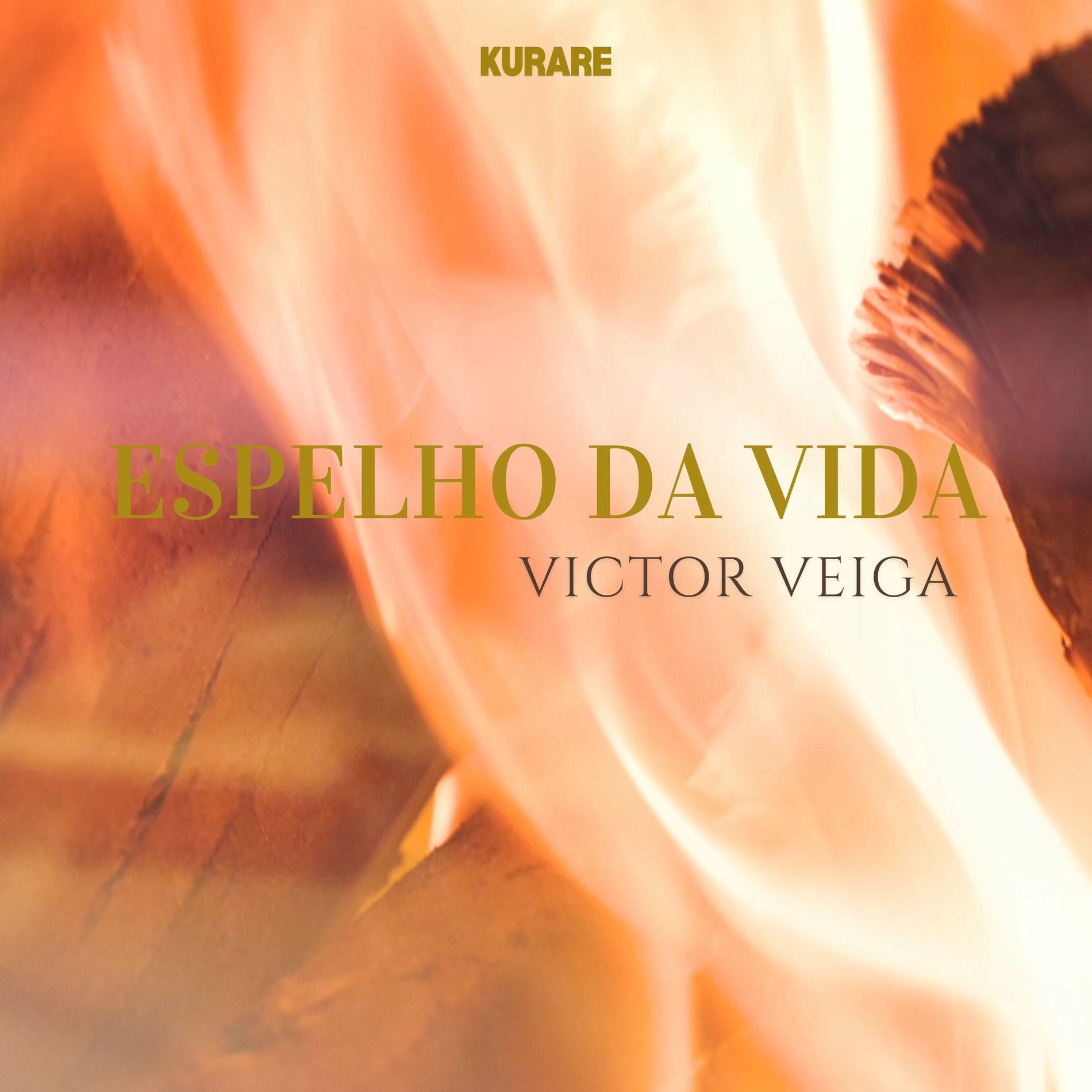 Album cover of Espelho da Vida
