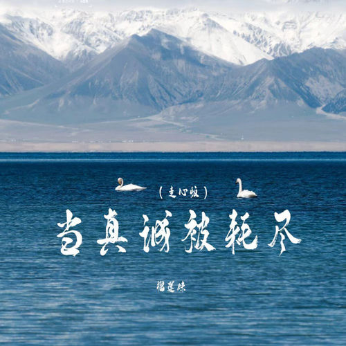 当真诚被耗尽 (走心版)