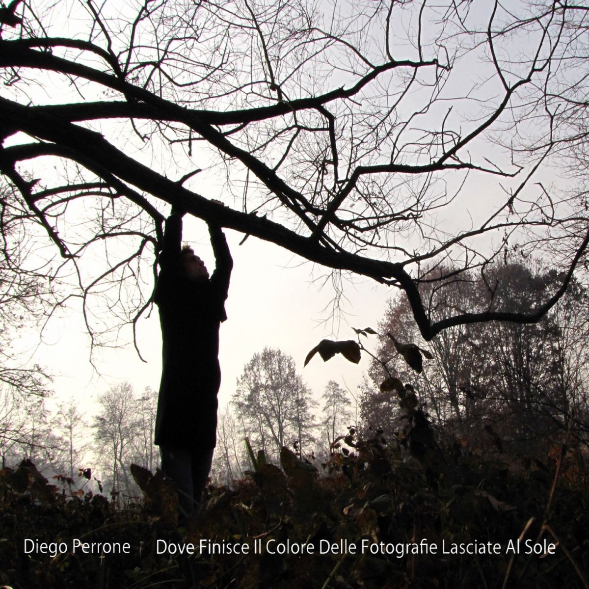 Album cover of Dove finisce il colore delle fotografie lasciate al sole