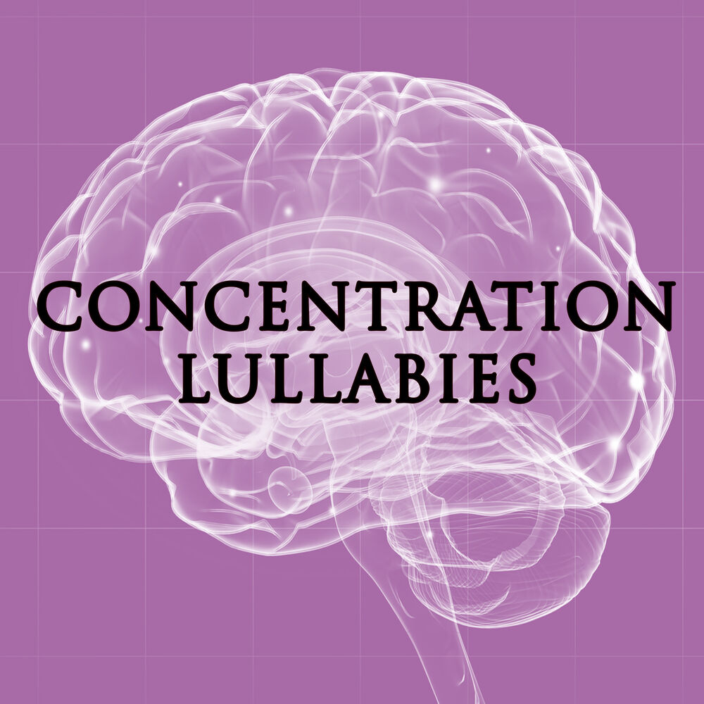 Picture of Concentration Lullabies