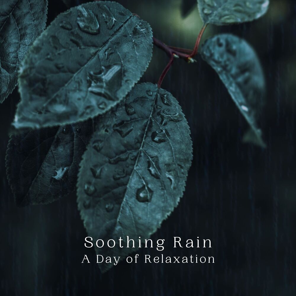 Picture of Soothing Rain: A Day of Relaxation