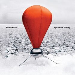 Cover of Sycamore Feeling