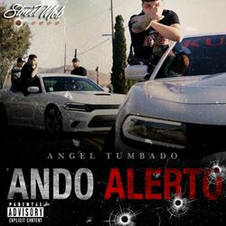 Cover of Ando Alerto