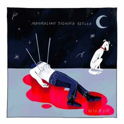 Cover of Mammalian Sighing Reflex