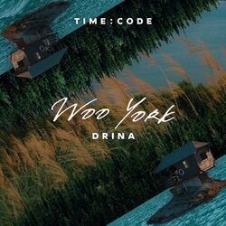 Cover of Drina