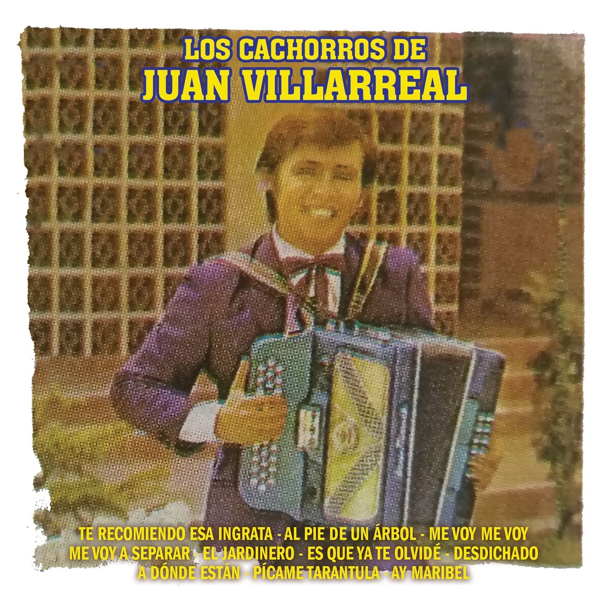 Album cover of Te Recomiendo Esa Ingrata