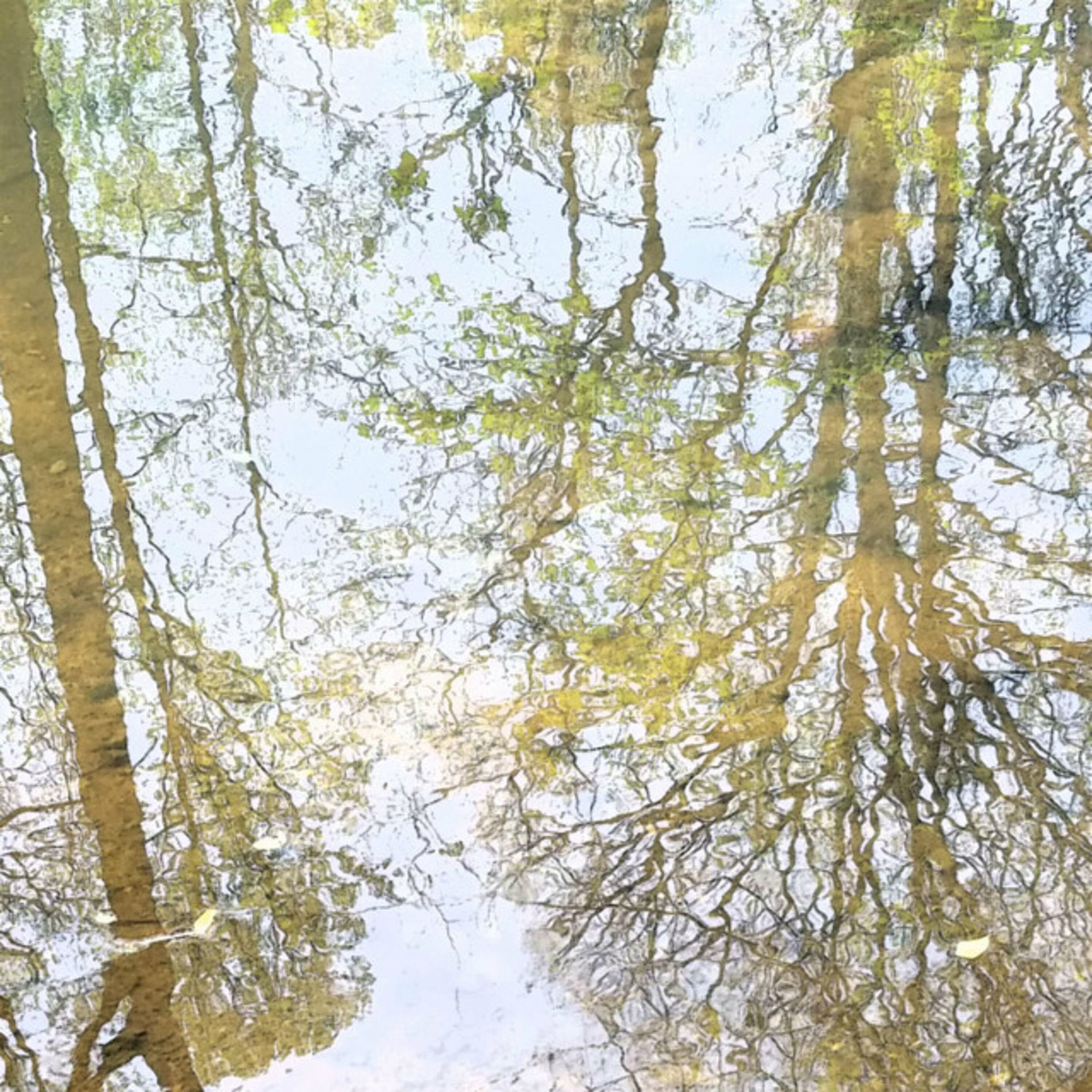 Album cover of Ambient Selections