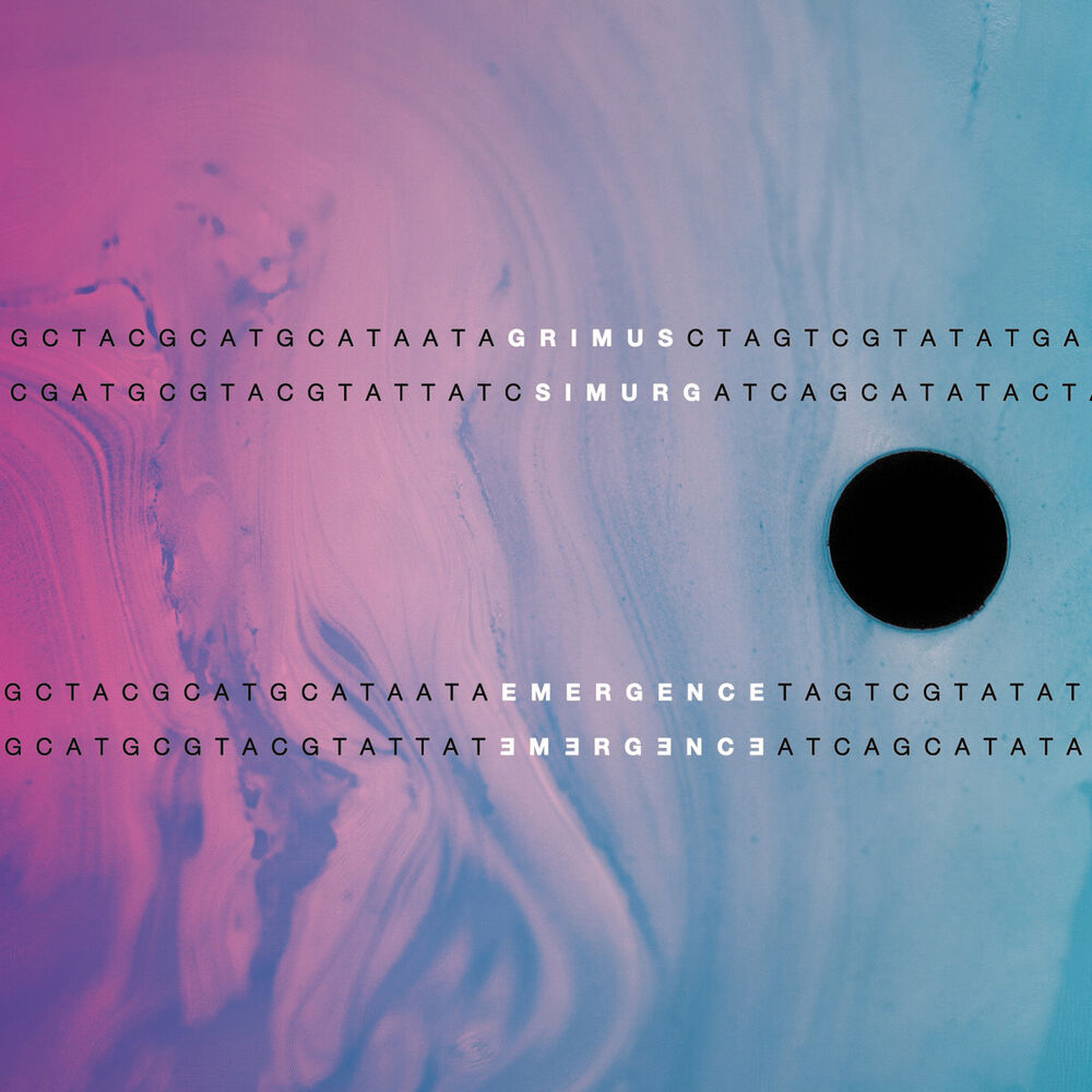Picture of Emergence