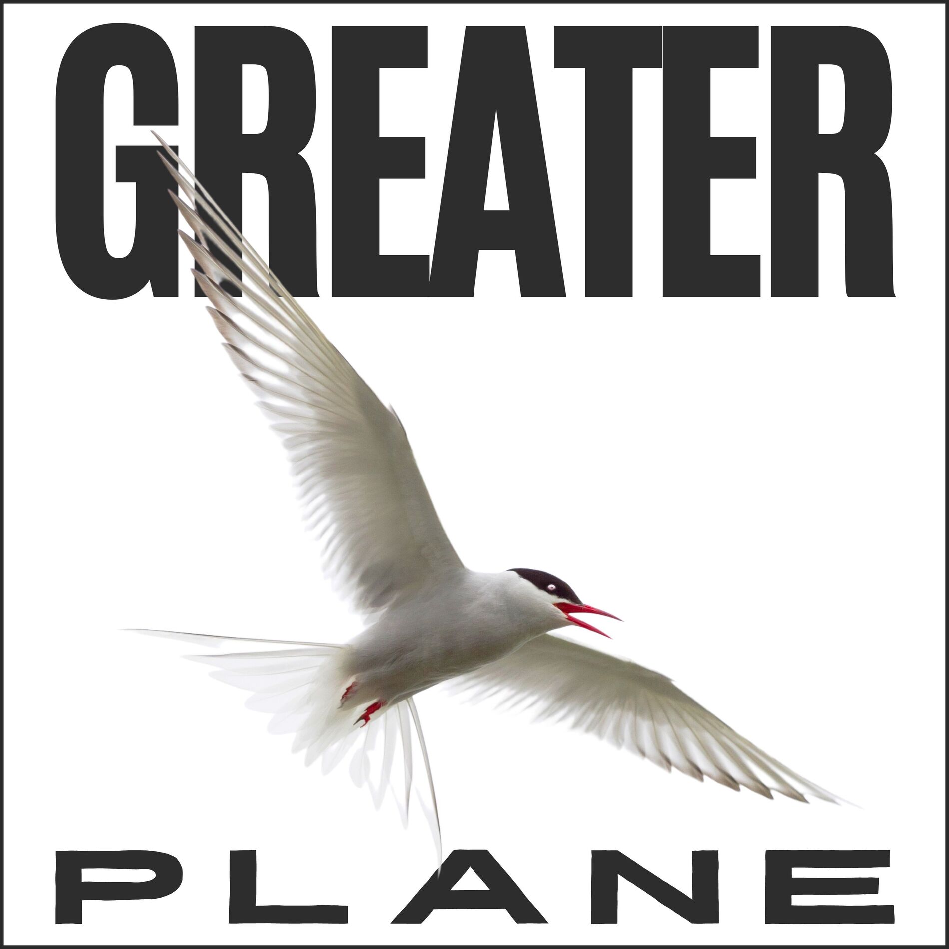 Album cover of Greater Plane