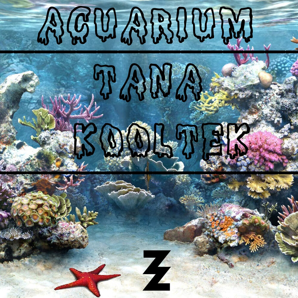 Picture of Acuarium