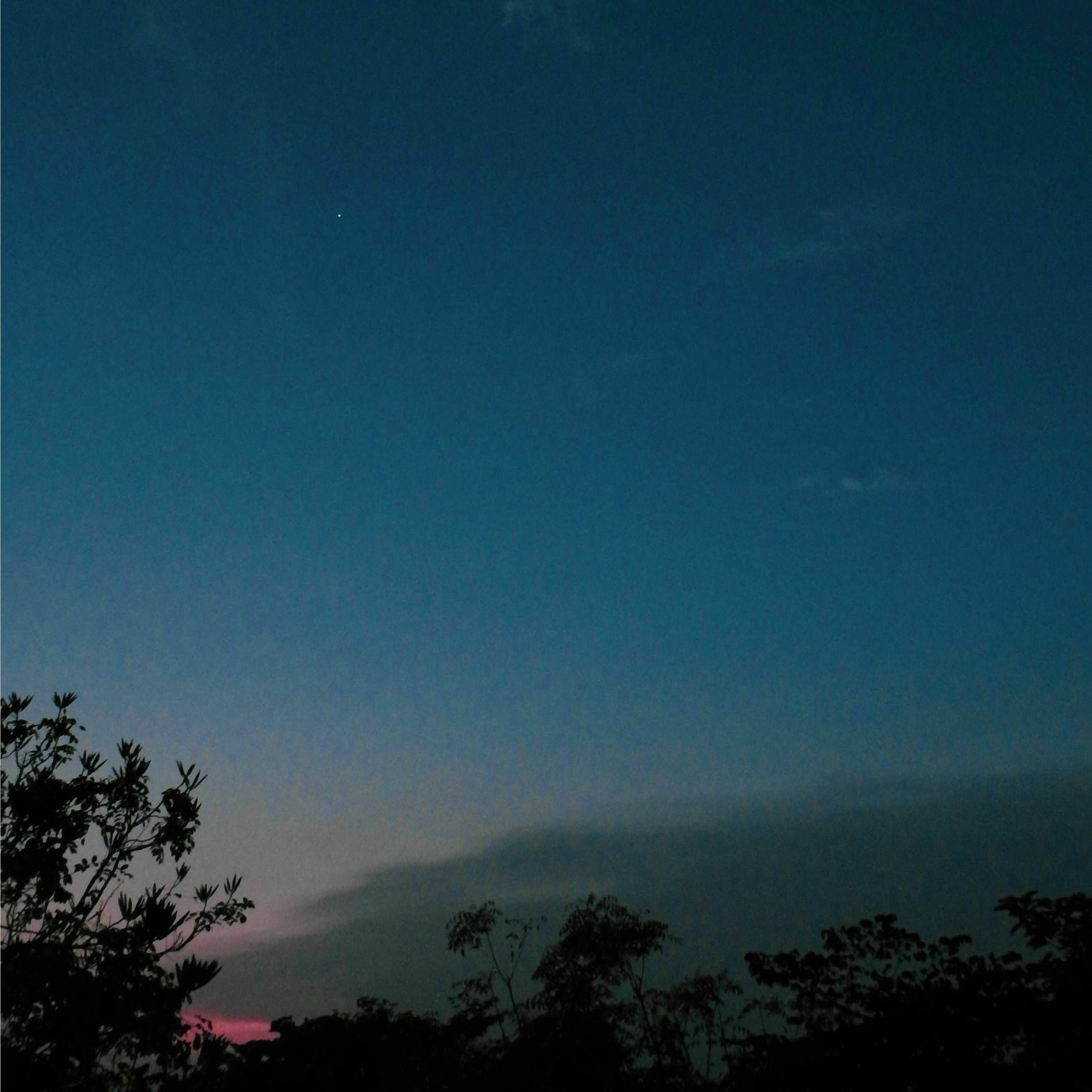 Album cover of Slow Mornings
