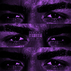 Pochette album