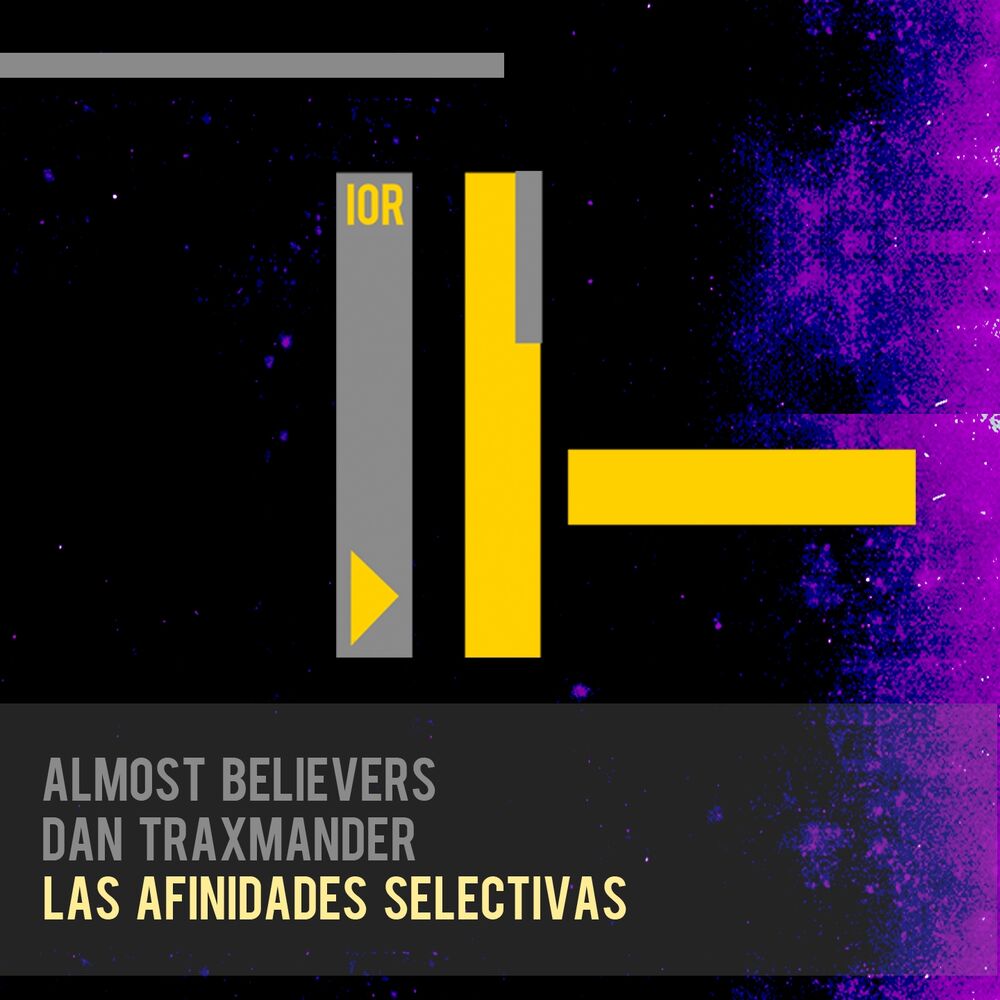 Picture of Las Afinidades Selectivas