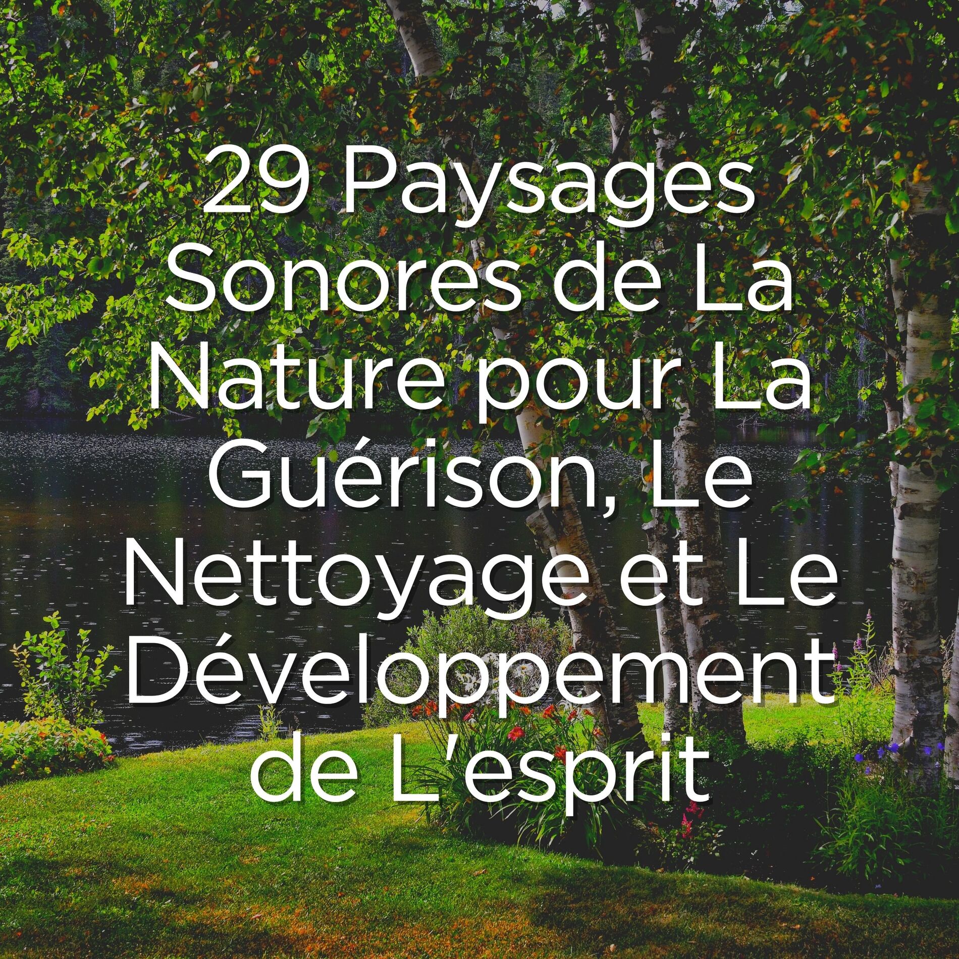 Album cover of 29 Paysages Sonores de La Nature pour La Guérison, Le Nettoyage et Le Développement de L'esprit