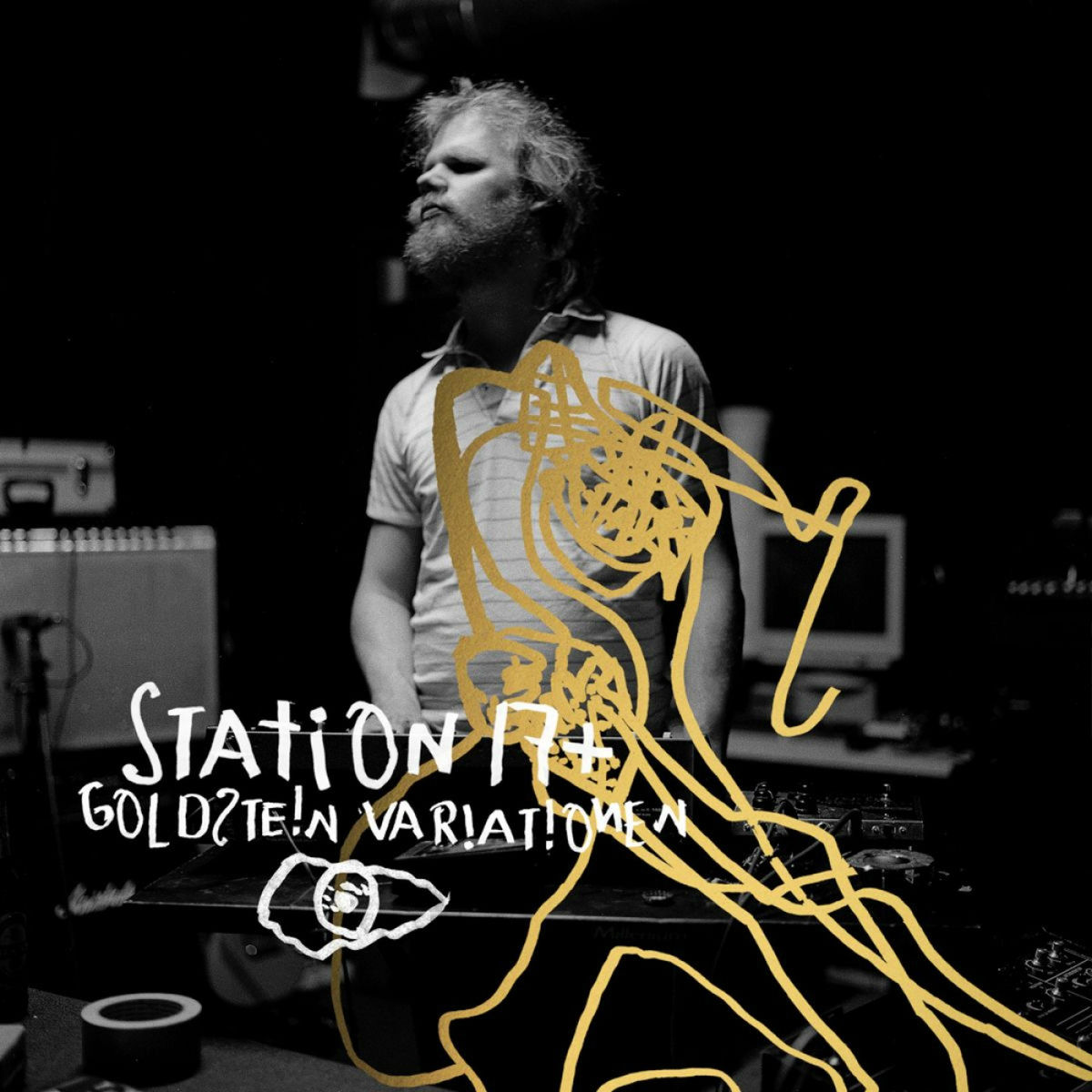 Album cover of Goldstein Variationen