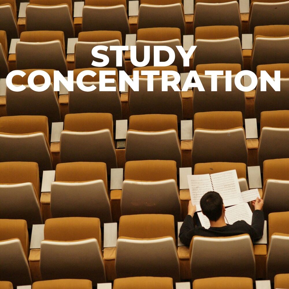 Picture of Study Concentration