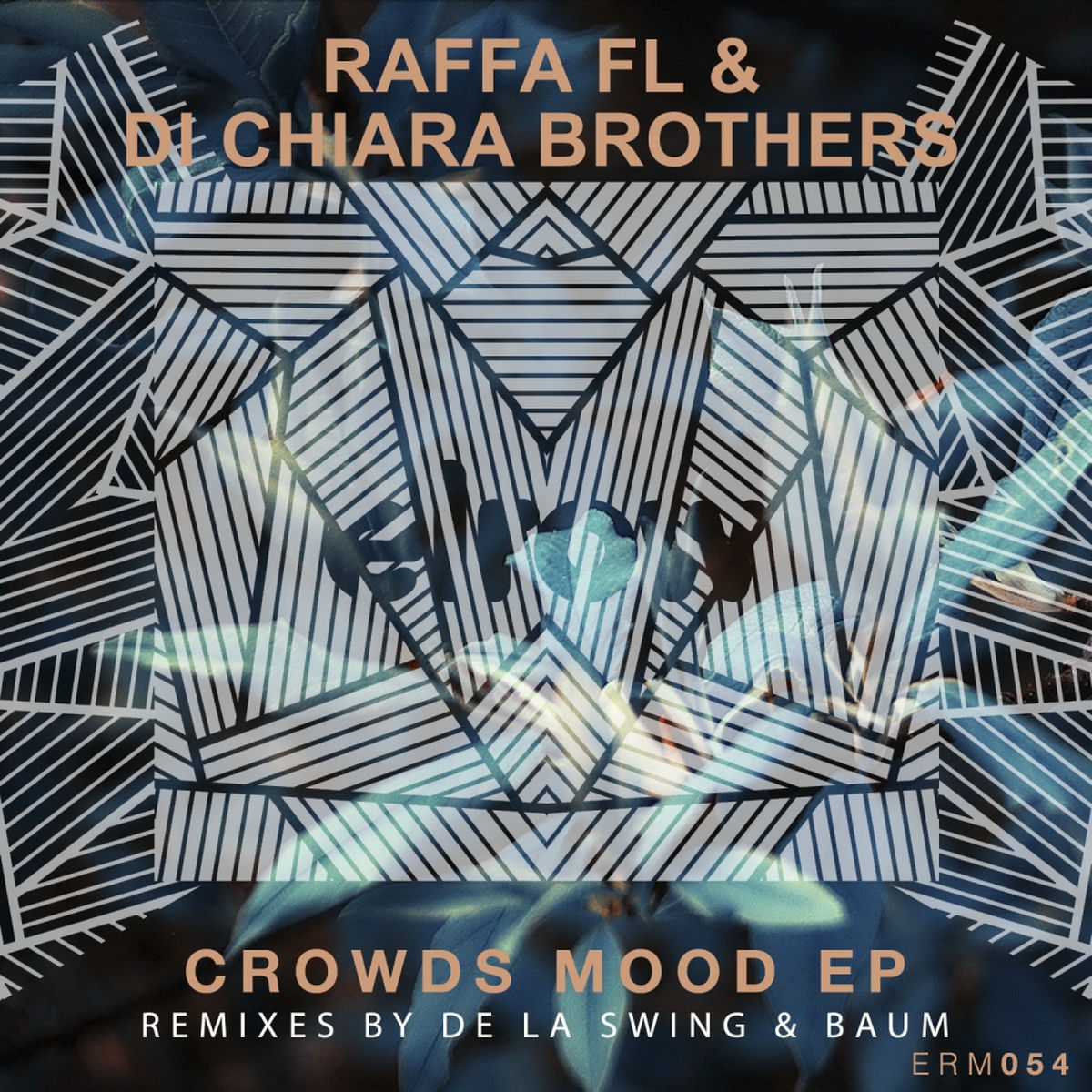 Album cover of Crowds Mood