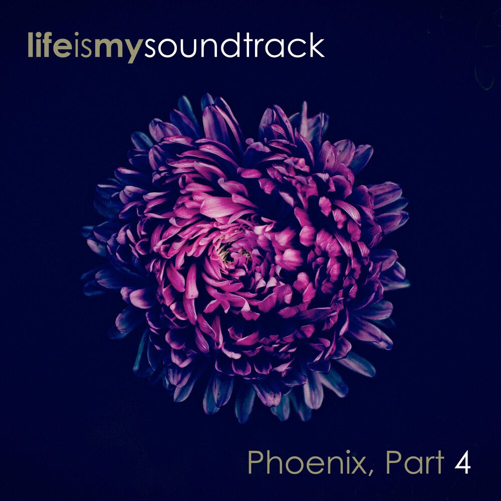 Picture of Phoenix, Pt. 4