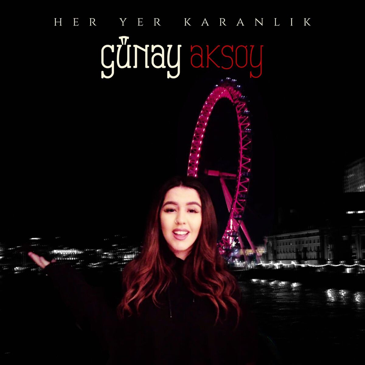 Album cover of Her Yer Karanlık