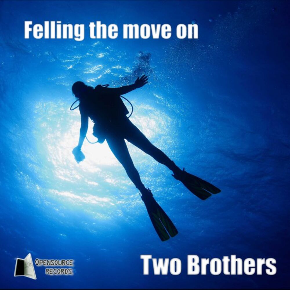 Picture of Felling the Move on / The Midnigth Turn