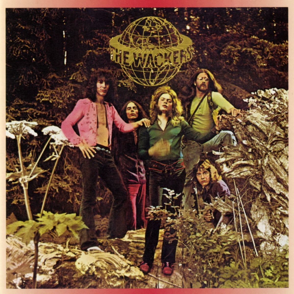 Album cover of Wackering Heights