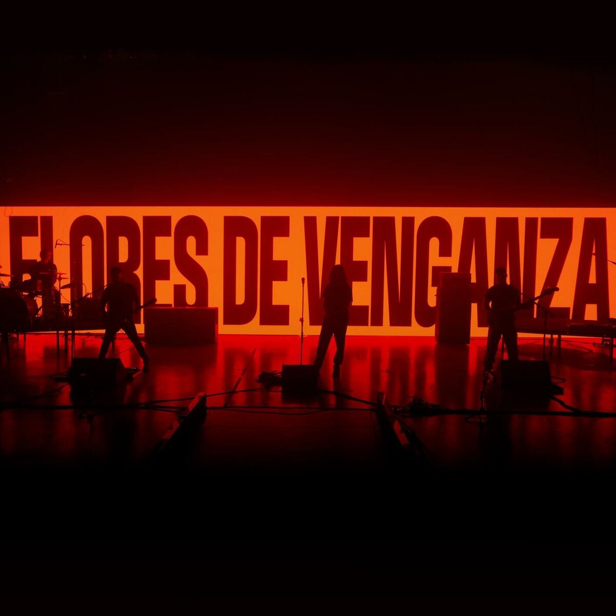 Album cover of Flores de Venganza