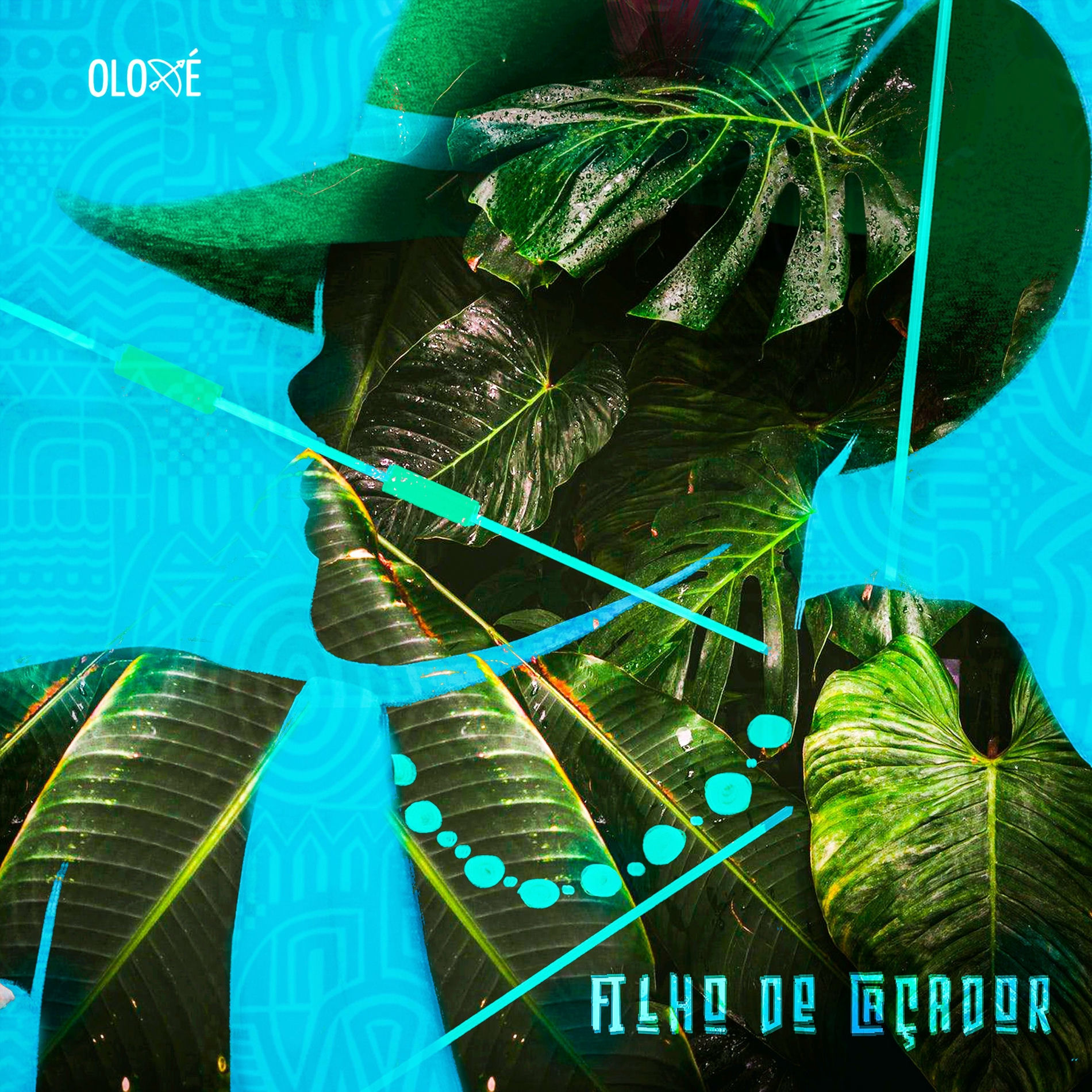 Album cover of Filho de Caçador