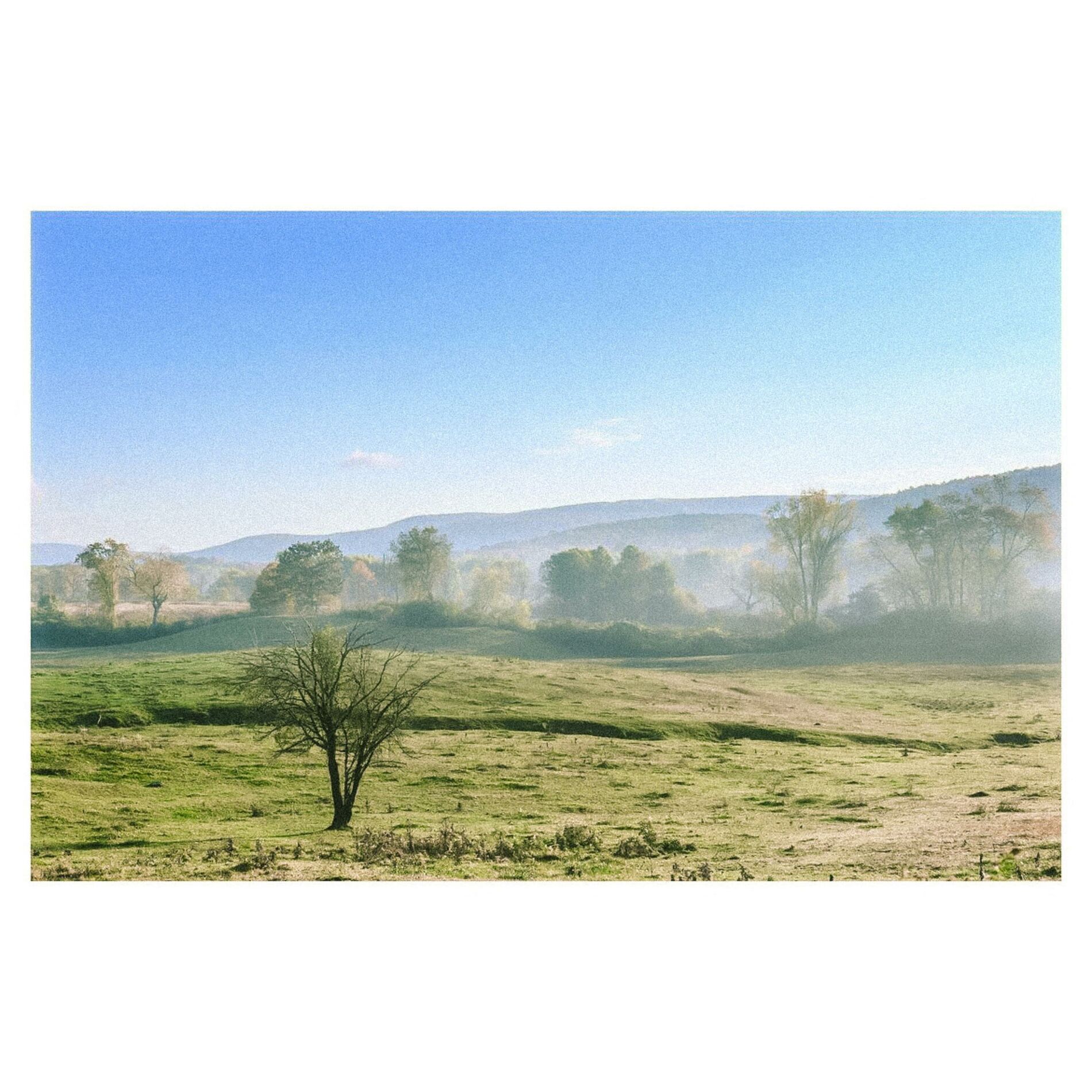 Album cover of bitter
