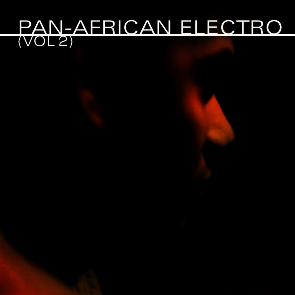 Picture of Pan-African Electro (Vol. 2)
