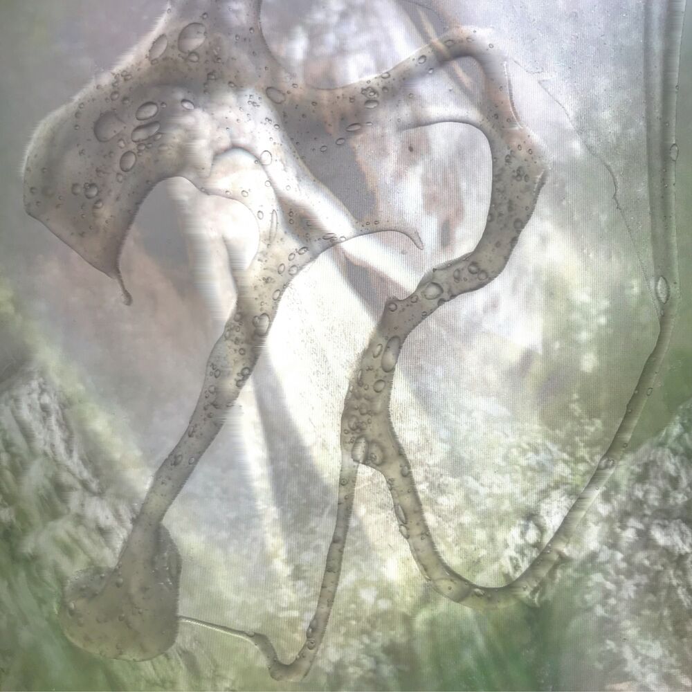 Picture of Xpetal