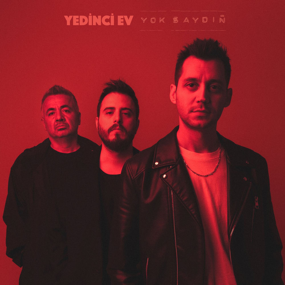 Yok Saydın cover