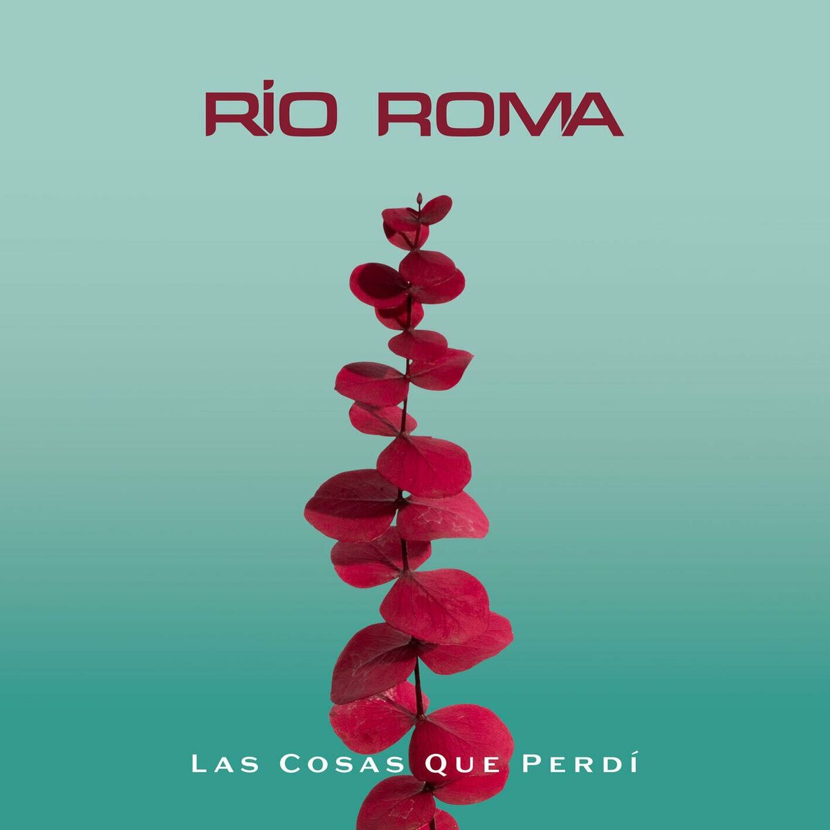 Album cover of Las Cosas Que Perdí