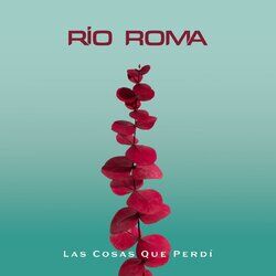 Cover of Las Cosas Que Perdí
