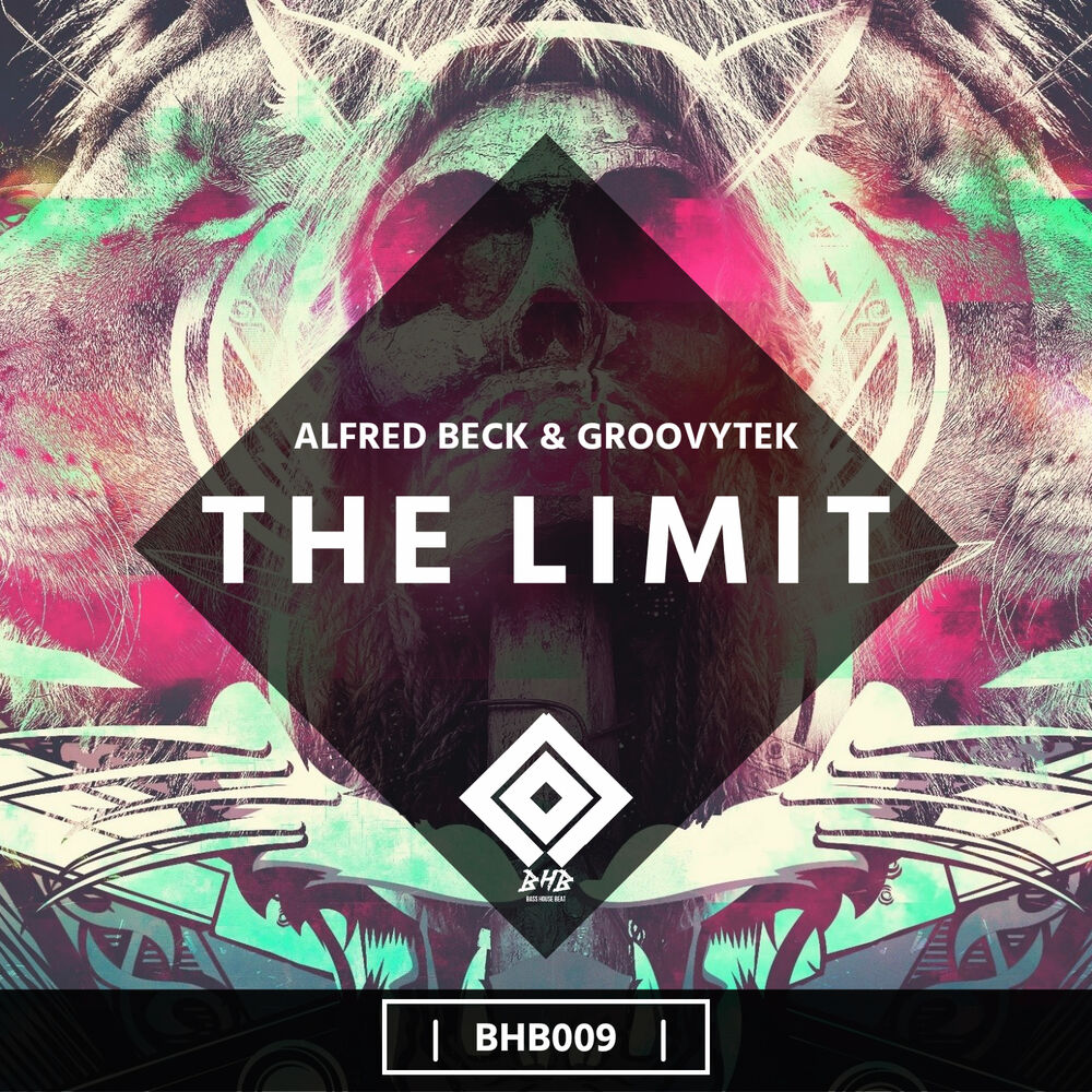 Picture of The Limit