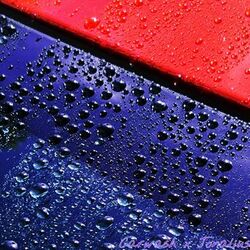 Cover of Reflections