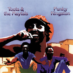 Cover of Funky Kingston